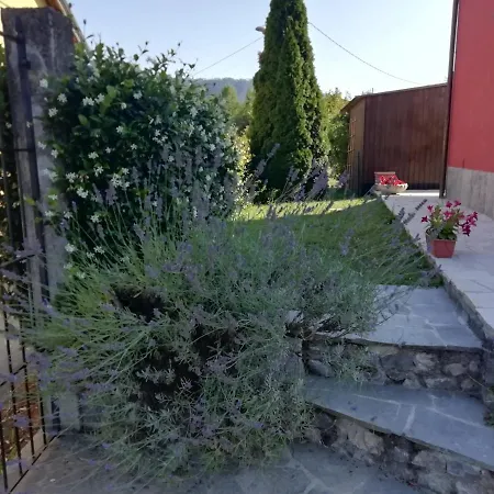 Feriehus Ca' En Tu Ciosu *